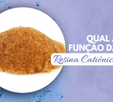Qual a função da resina catiônica?